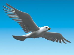 Spero-dove.jpg