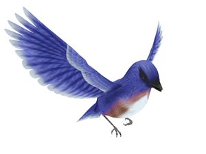 Spero-bird-blue-2.jpg