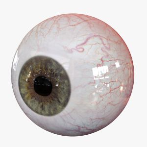 Spero-eye-2.jpg