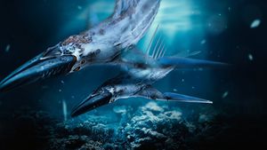 Aquilla-leviathan-1.jpg