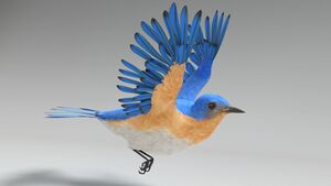 Spero-bird-blue.jpg