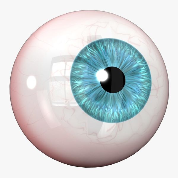 File:Spero-eye-1.jpg